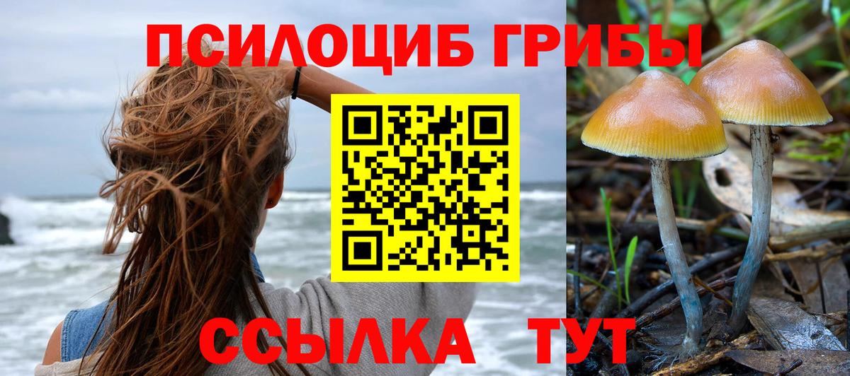 Псилоцибиновые грибы мухоморы Озёрск